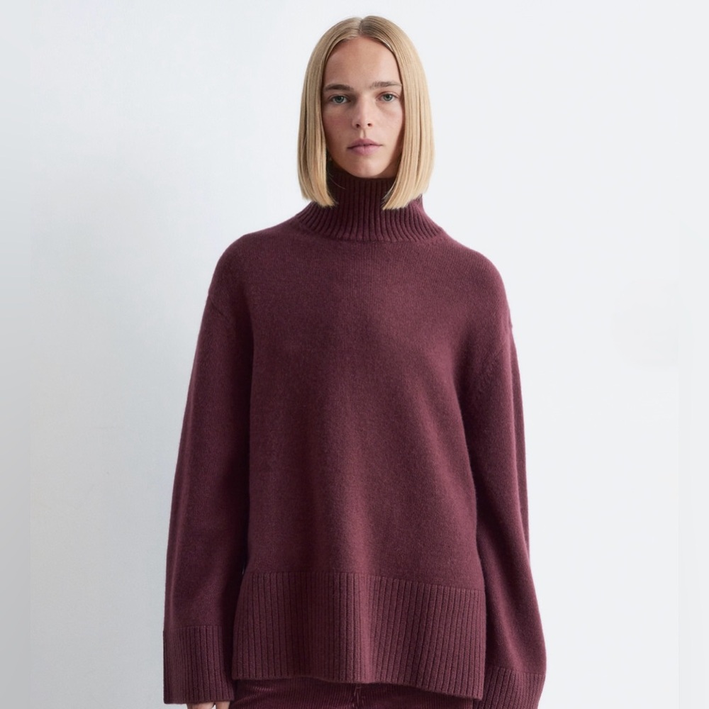 NWOT 100% Wool &Other Stories Sweater